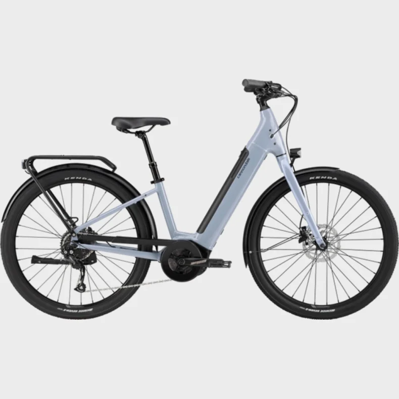 Cannondale Adventure Neo 3.1 EQ LG